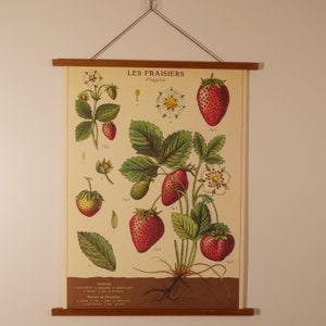 Vintage poster aardbeien met magnetische houten hanger, combo verticale kaart