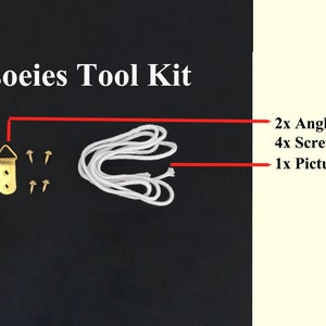 May include: A white picture wire, two gold angle drive hooks, and four screws are displayed on a black surface. The text "Accessories Tool Kit" is at the top of the image. The text "2x Angle Drive Hooks", "4x Screws", and "1x Picture Wire" is on the right side of the image.