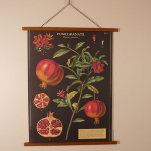 Vintage poster granaatappel met magnetische houten hanger combo verticale kaart