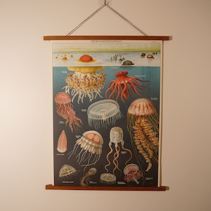 Vintage poster oceanografie met magnetische houten hanger, combo verticale kaart