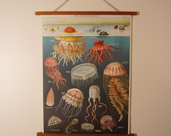 Poster vintage di oceanografia con gancio magnetico in legno e grafico verticale combinato