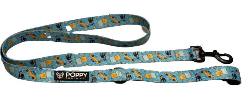 Frenchie Fever Dog LeadLeash