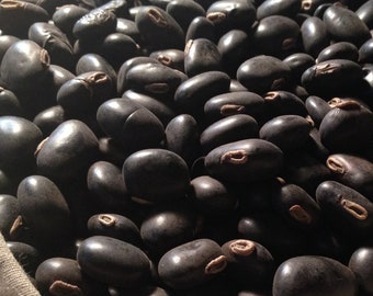 1 oz Hoxem Mucuna Pruriens Florida Velvet Bean (Black) - 25-50 Seeds cowitch