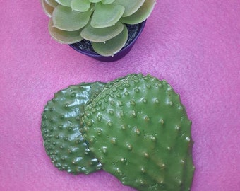 Mexican Cactus coin purse