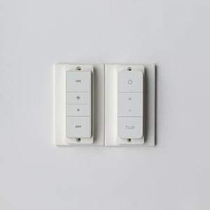 May include: Two white light switch remotes with buttons for on, off, and brightness control. The left remote has the word "ON" and "OFF" printed on the buttons. The right remote has the word "hue" printed on the bottom button.