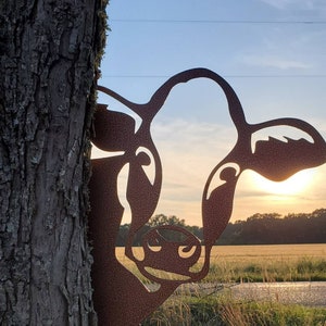 Peek-A-Boo Metal Cow, Cow Garden Decor, Metal Cow Head, Peeping Cow, Cow Head, Cow Decor, Outdoor Cow Head, Metal Cow, Corner Cow, Cow