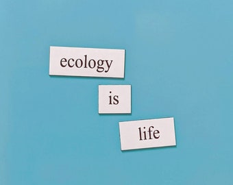 Ecology Word Magnets | Office Refrigerator Magnets | Ecology Poetry and Jokes | Graduation and Birthday Gift