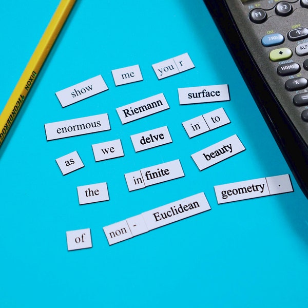 Mathematics Word Magnets | Refrigerator message magnets | Math Poetry and Jokes | Graduation and Birthday Gift