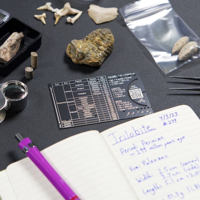 paleontology lab geological chart of epochs eons and periods