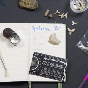 paleontologist kit tool for notes and fossil specimen drawing