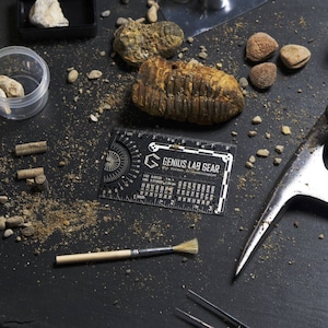 The Pocket Paleontologist | Fossil hunting field reference and scale ruler | Geological time scale | Geology and Archaeology Gift