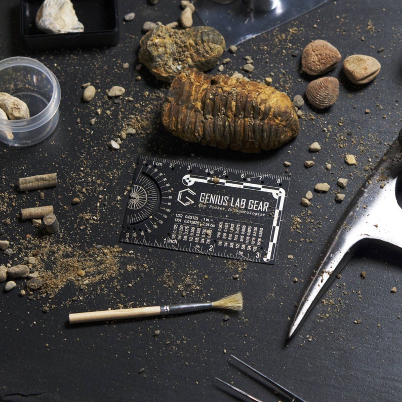 paleontologist gift for fossil hunting field pocket tool