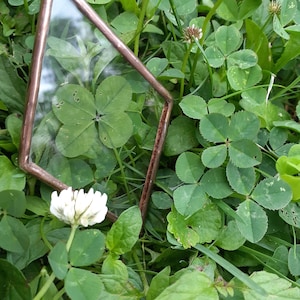 Pressed Four Leaf Clover | Clover Luck Charm
