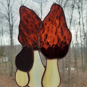 Cogumelo Suncatcher, Cogumelo Morel