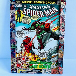 L’incroyable Spider-Man avec cadre personnalisé Green Goblin