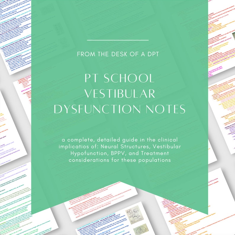 PT School Vestibular Dysfunction Study Guide - Etsy