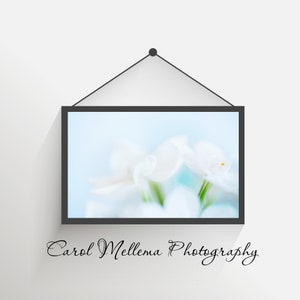 Printable Wall Art | Abstract Flower Printable | Flower Digital Download | Flower Wall Decor