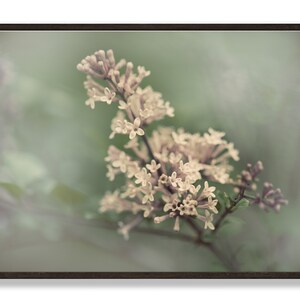 Lilac Flower | Digital Printable | Printable Art | Wall Decor | Vintage Floral | Vintage Wall Art
