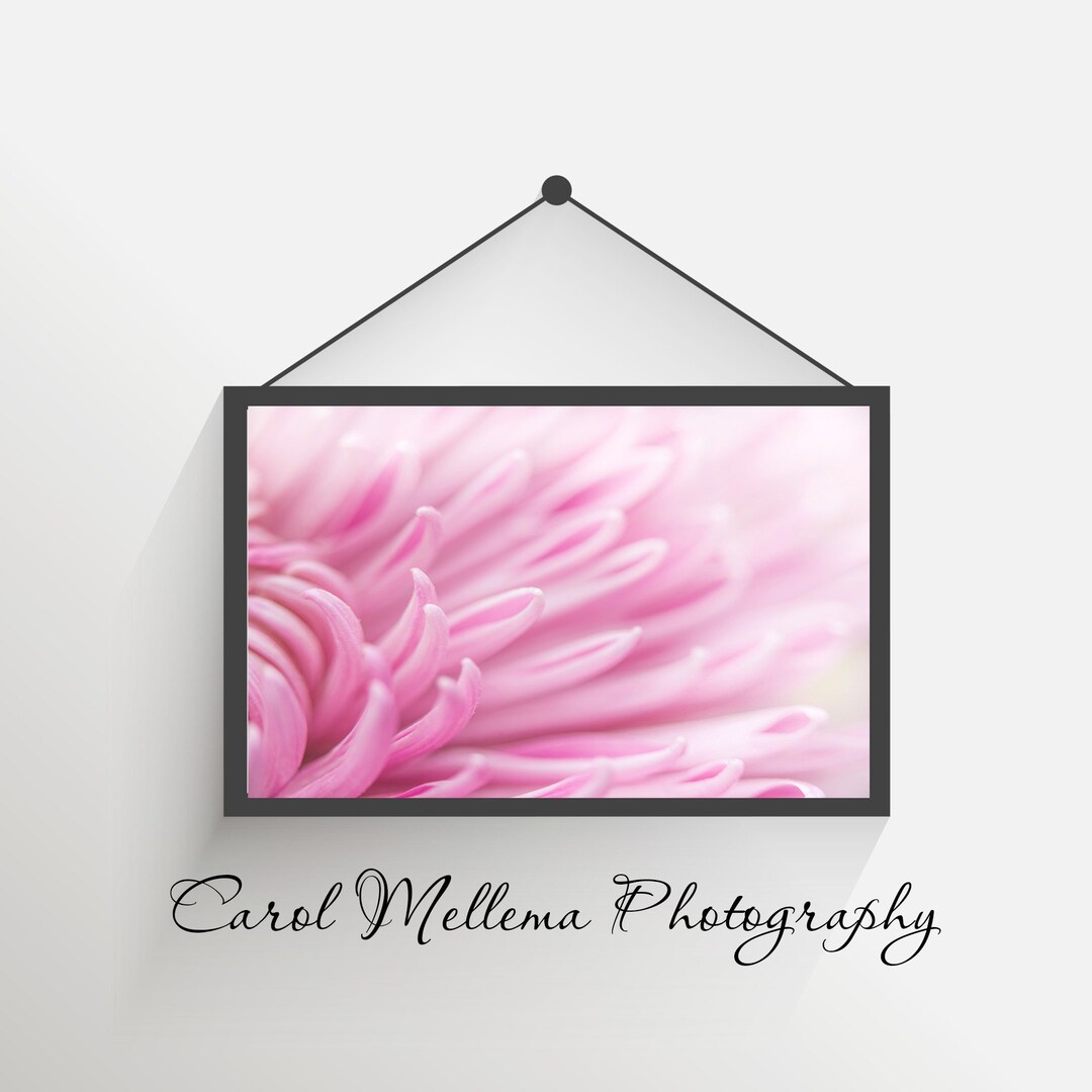 Pink Flower Wall Art Floral Abstract Art Flower Photograph Digital