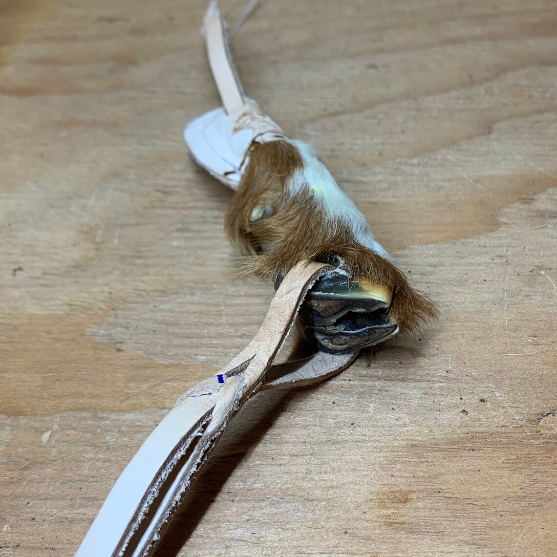 Real Goat Foot Key Chain W/ Leather Cuarta Con Pata De Chivo Etsy