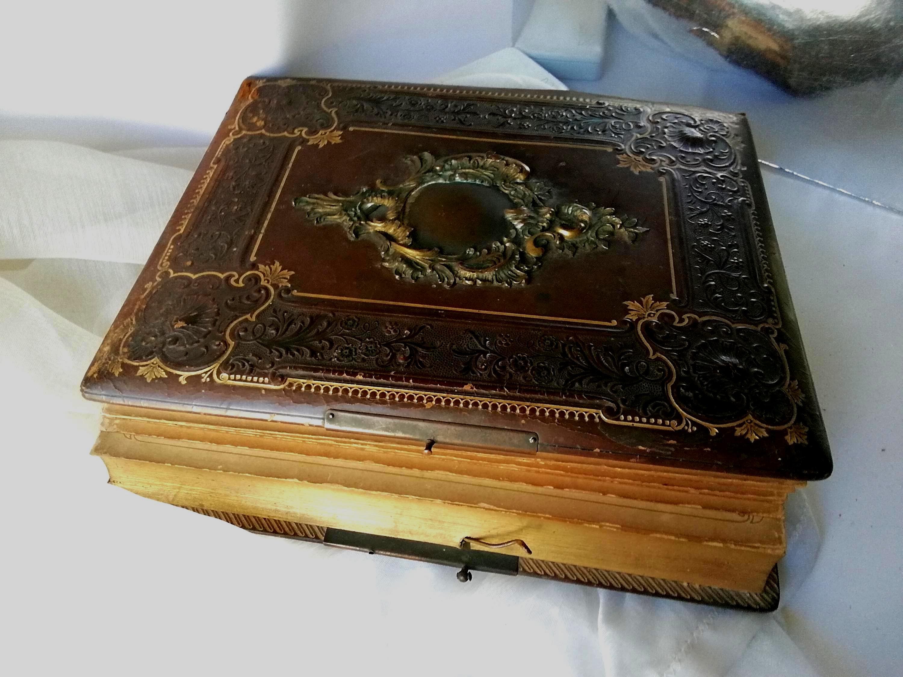 Antique Art Nouveau Leather Photo Album: 19th Century European