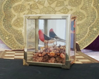 Vintage Vogel Kunst Vitrine - Shabby Chic Decor