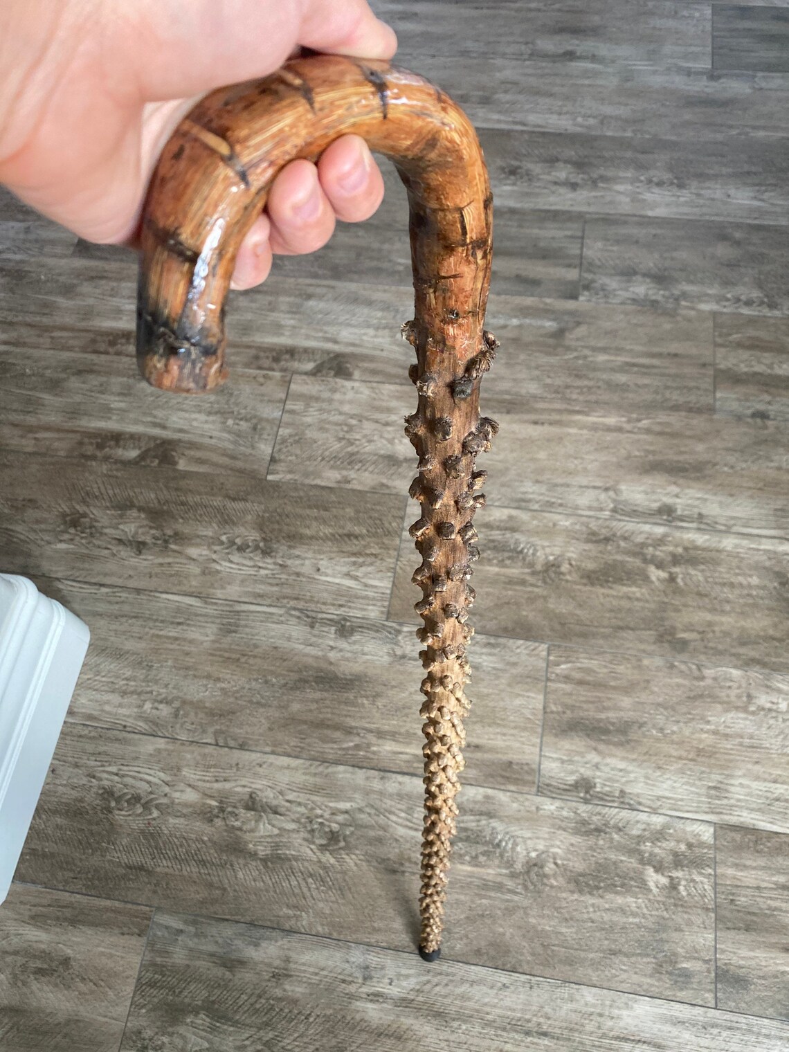 Cane/Walking Stick made of Palm Tree seed pods. LOCAL PICKUP Etsy
