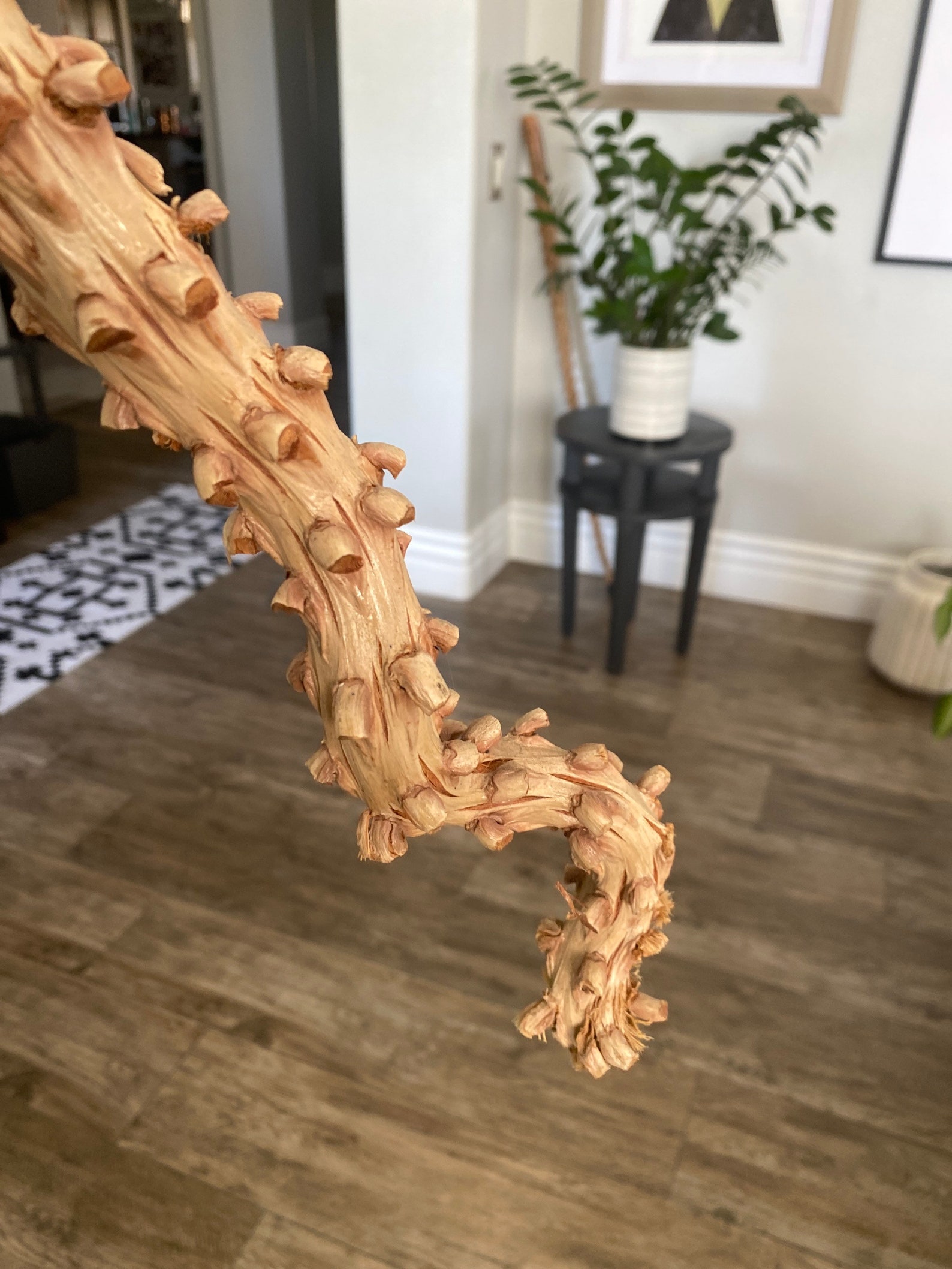 Cane/walking Stick Made of Palm Tree Seed Pods. Etsy