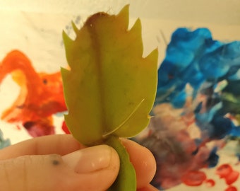 Mystery Christmas Cactus plant clippings