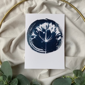 Carte de vœux Agapanthus Art mural blanc et bleu - Blue Botanical Print avec des fleurs blanches