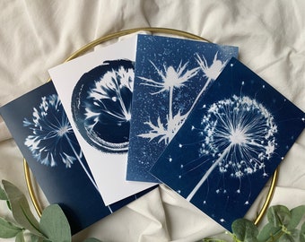 4 for 10.00 Cyanotype Greetings Cards White and Blue Wall Art - Blue Botanical Print with White Flowers