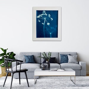 Cow Parsley with Shadow Cyanotype White and Blue Wall Art - Blue Botanical Print with White Flowers