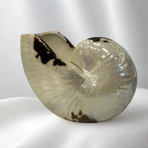 May include: A ceramic nautilus shell-shaped vase. The vase has a pearlescent finish with brown and black accents. The opening is at the top, and the shell is resting on a white surface. The overall design is elegant and organic.