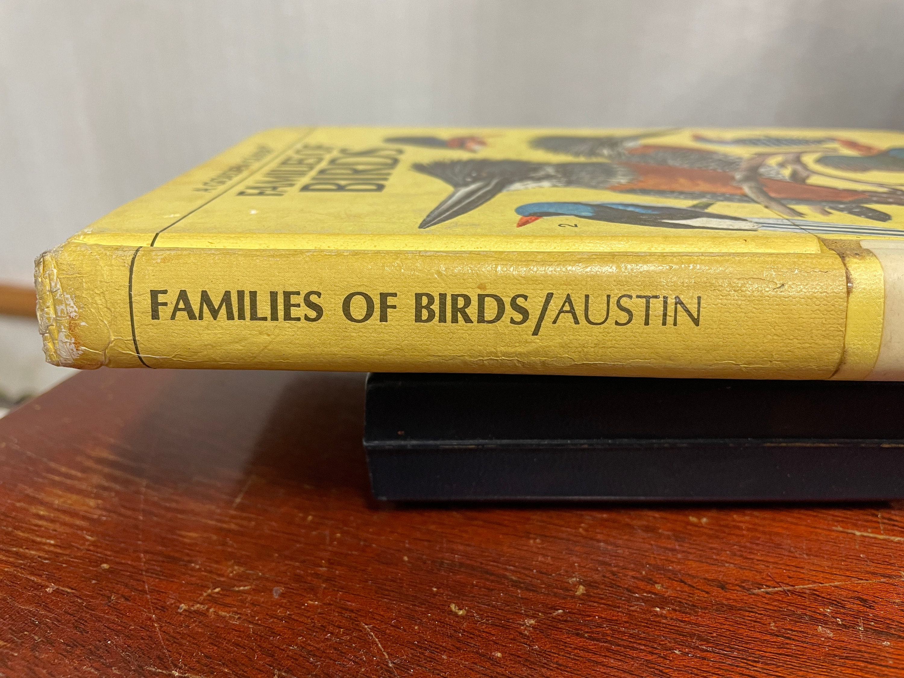 Vintage Bird Book,families of Birds Golden Guide Book