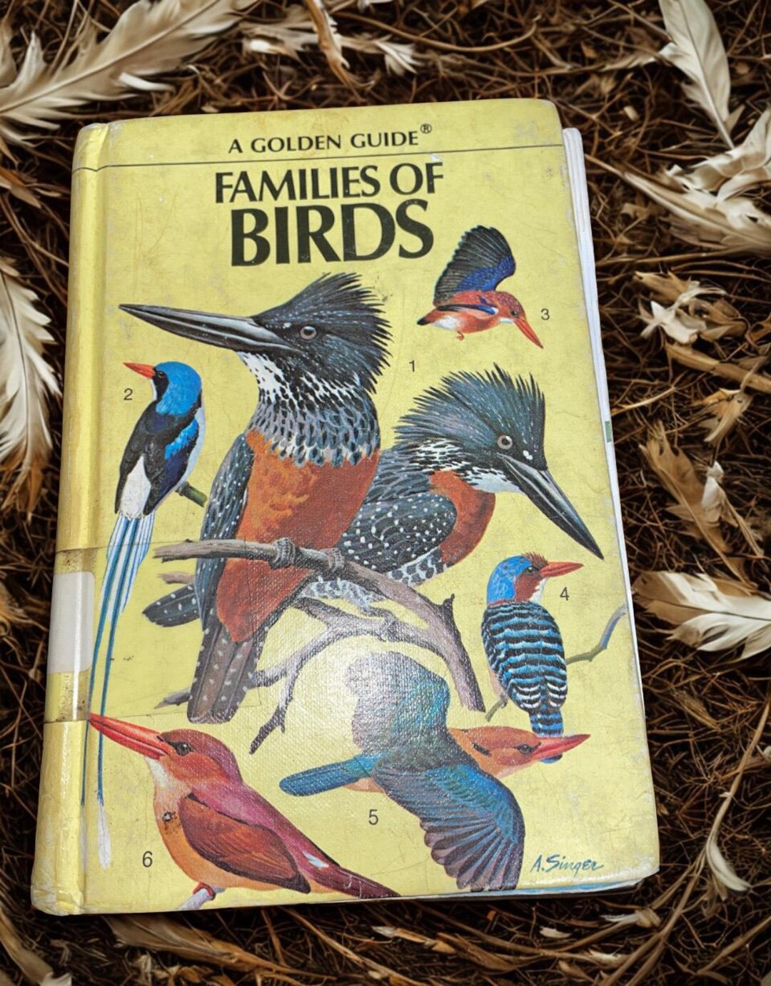 A book of BIRDS
スティーヴン・ギル　Stephen Gill ABC Book of Birds (1916) - High resolution downloads - Downloads