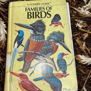 Vintage bird book,Families of Birds Golden Guide book, Antique hardback nature book,bird gift,bird watchers,Book collectors, Home Library