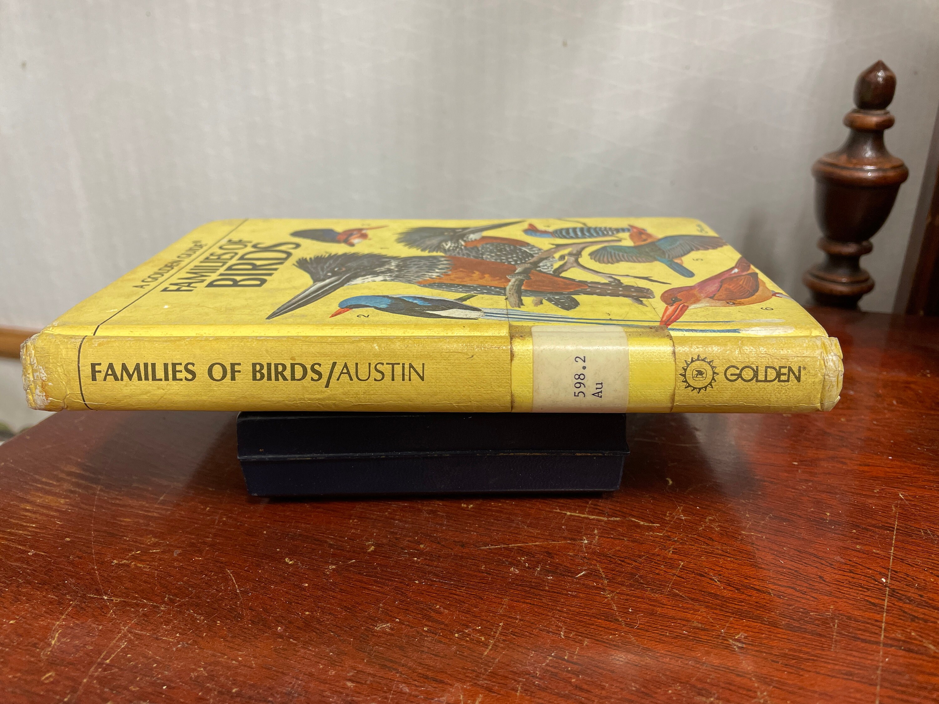 Vintage Bird Book,families of Birds Golden Guide Book