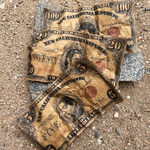Wasteland New Vegas - NCR Bills