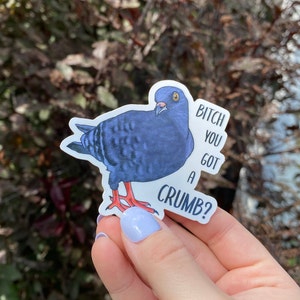 Funny Pigeon Sticker, Cute Car Sticker, Unique Gift for Pigeon Lovers