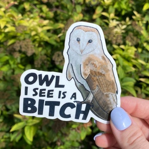 Owl Sticker for Water Bottle, Vinyl Laptop Decal, Cute Car Bumper Sticker, Nature Lover Gift