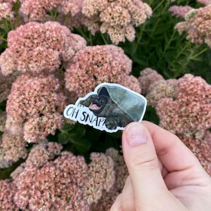 May include: A sticker with a cartoon turtle wearing a shell and the text "OH SNAP!" printed on it. The sticker is on a pink flower background.