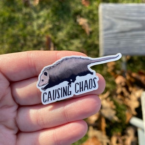 MINI STICKER! Opossum Gift Sticker, Funny Animal Decal, Unique Present Idea