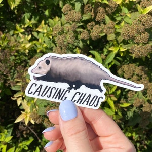 Opossum Gift Sticker, Funny Animal Decal, Unique Present Idea