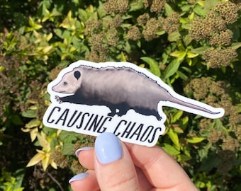 Opossum Gift Sticker, Funny Animal Decal, Unique Present Idea