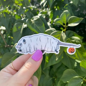 Cute Ghost Opossum Sticker, Funny Halloween Vinyl Decal, Spooky Ghost Possum, Trick or Treat Sticker, Trash Panda Gift