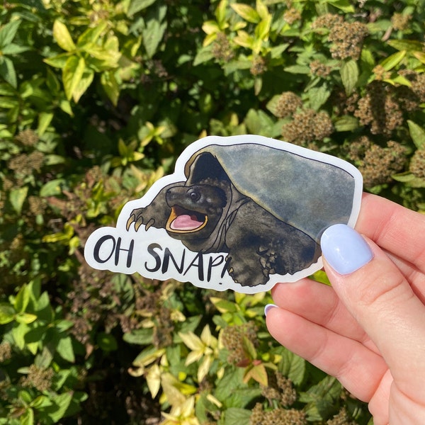 Oh Snap Turtle Sticker, Snapping Turtle Vinyl Decal, Funny Nature Gift, Laptop Sticker, Turtle Lover Gift