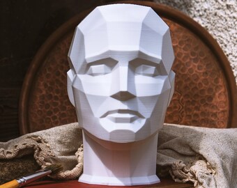 THE BEST - 3D Printed Facial Structure - Planar Headpiece Reference - Geometric 3D Head Model - Artistic Planar Head - 3D Anatomy Sculpture