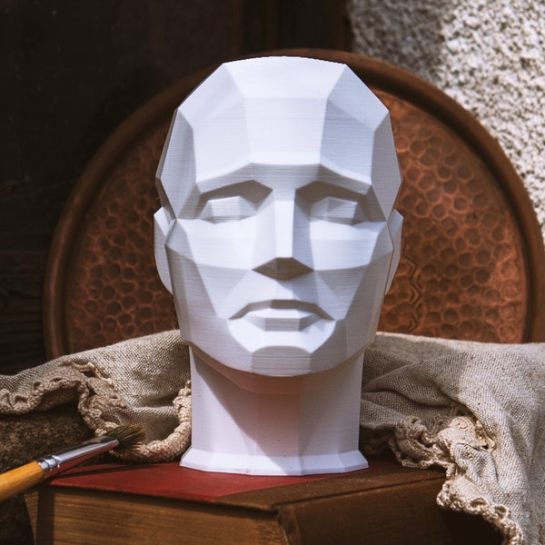 THE BEST - 3D Printed Facial Structure - Planar Headpiece Reference - Geometric 3D Head Model - Artistic Planar Head - 3D Anatomy Sculpture