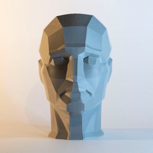 BESTSELLER - 3D Planar Hoofdsculptuur - Hoofdmodel - Geometrische Kunstdecoratie - Artistiek Planar Tekenhulpmiddel - 3D-gezichtsstructuur