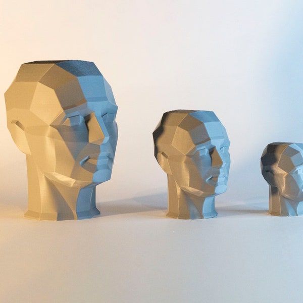 BESTSELLER - 3D Printed Planar Head Sculpture - Headpiece Model - Geometric Art Decor - Artistic Planar Drawing Tool - 3D Facial Structure